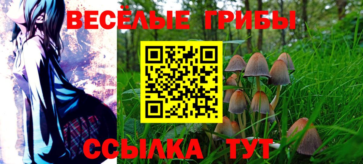 Галлюциногенные грибы MAGIC MUSHROOMS Солнечногорск