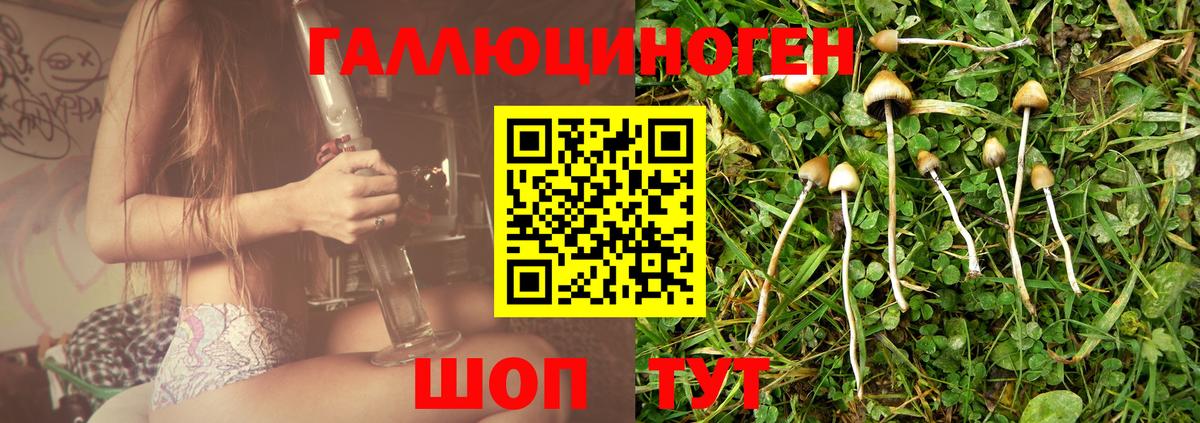 Кокаин Солнечногорск