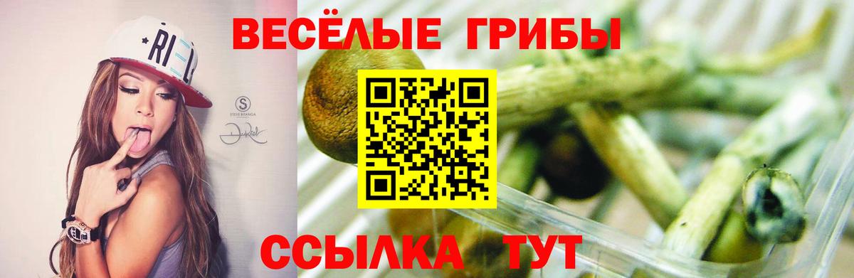 Галлюциногенные грибы GOLDEN TEACHER  Псилоцибиновые грибы мухоморы  Солнечногорск  Вход с VPN 